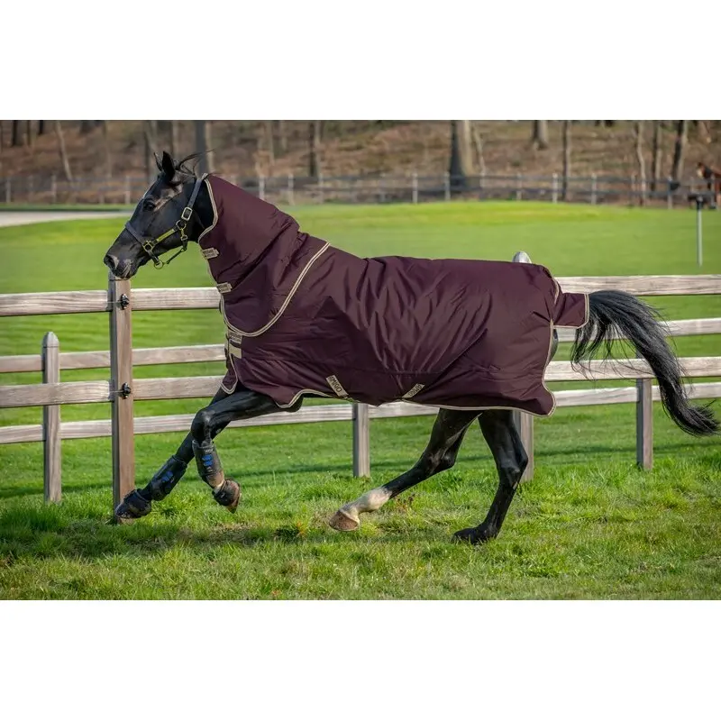 Meilleurs prix pour Couverture d'extérieur pour cheval Horseware Amigo Hero Ripstop Plus 200 g