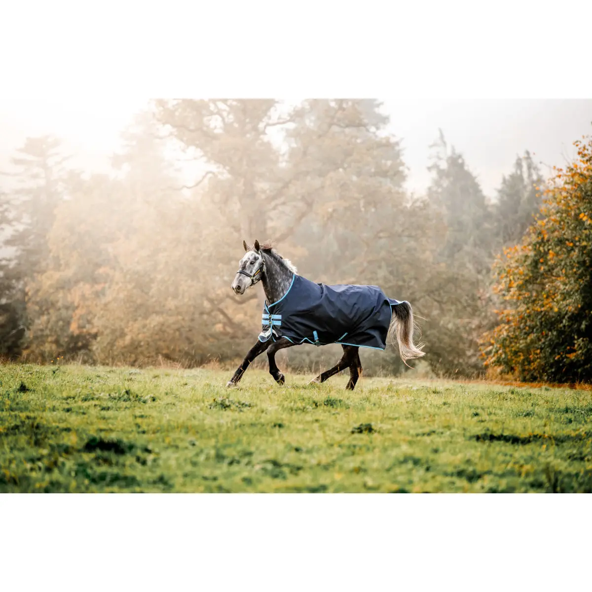 Comparer les prix de Couverture d'extérieur pour cheval avec couvre cou Horseware Amigo Bravo 100g