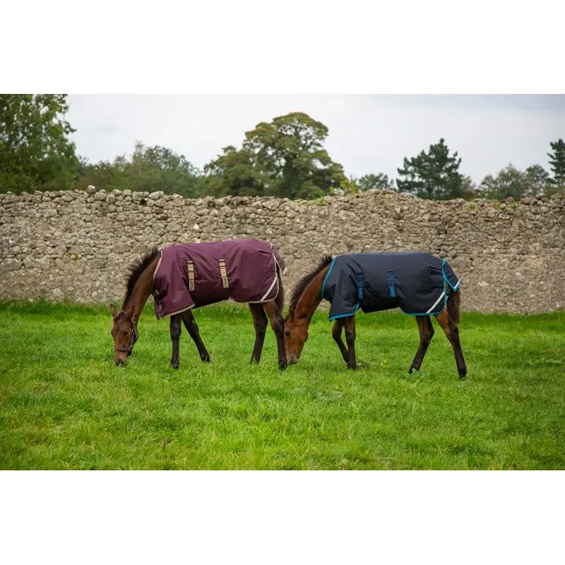 Meilleurs prix pour Couverture d'extérieur pour cheval Horseware Amigo Foal Rug 50 g