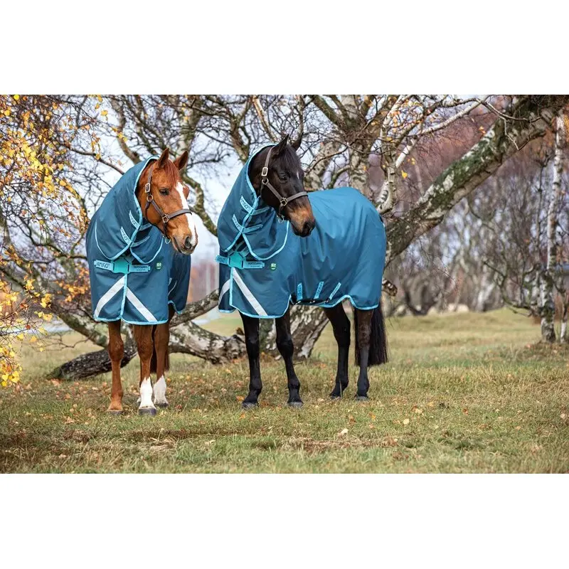 Couverture d'extérieur pour cheval Horseware Amigo AmEco 12 Plus Turnout 250g