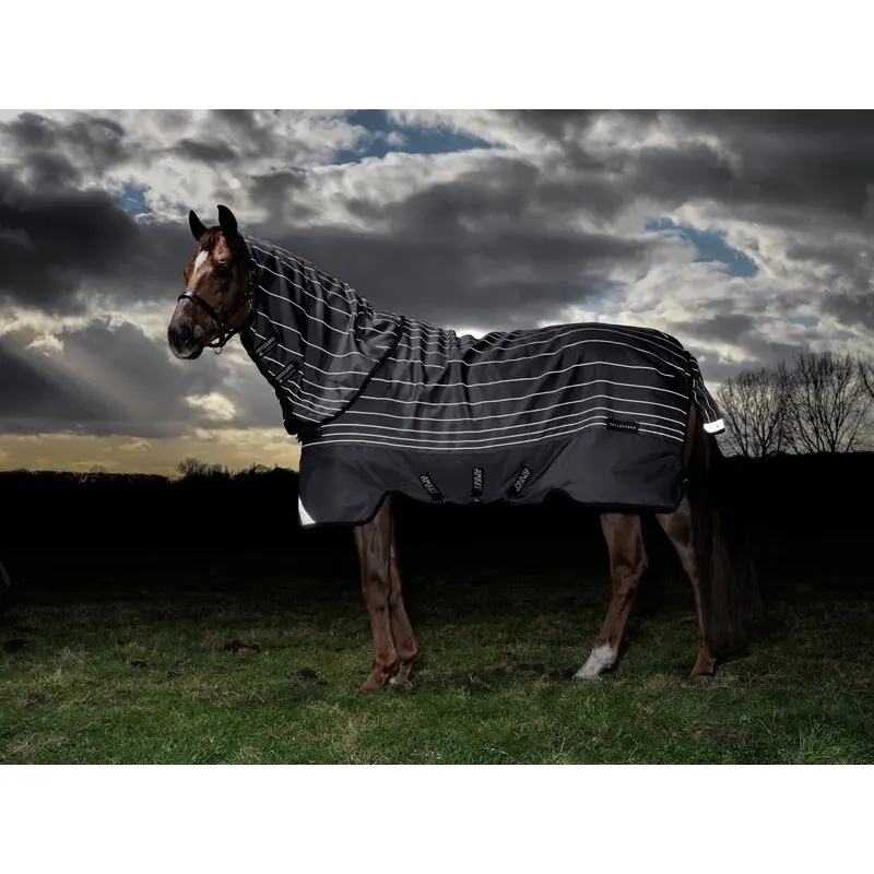 Meilleurs prix pour Couverture d'extérieur pour cheval Horseware Amigo Bravo 12 Refl Plus 100g