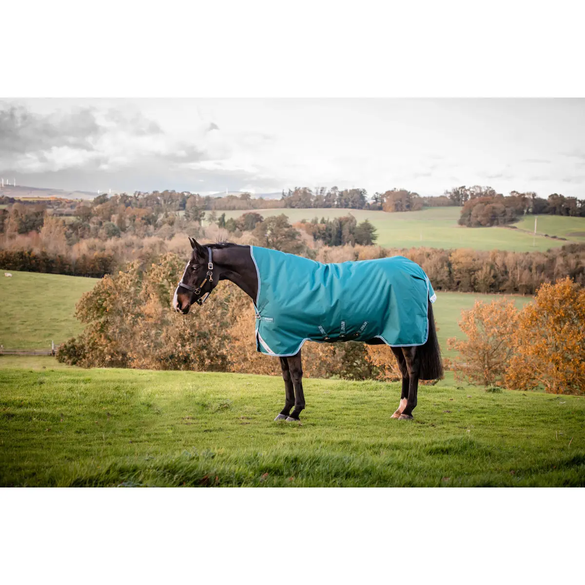 Comparer les prix de Couverture d'extérieur pour cheval Horseware Amigo Bravo 12 Wug Lite