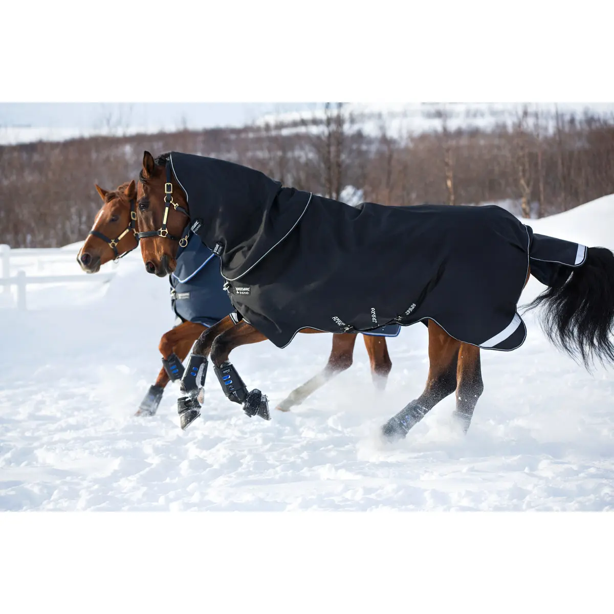 Couverture d'extérieur pour cheval Horseware Amigo Super Bravo Plus 250g