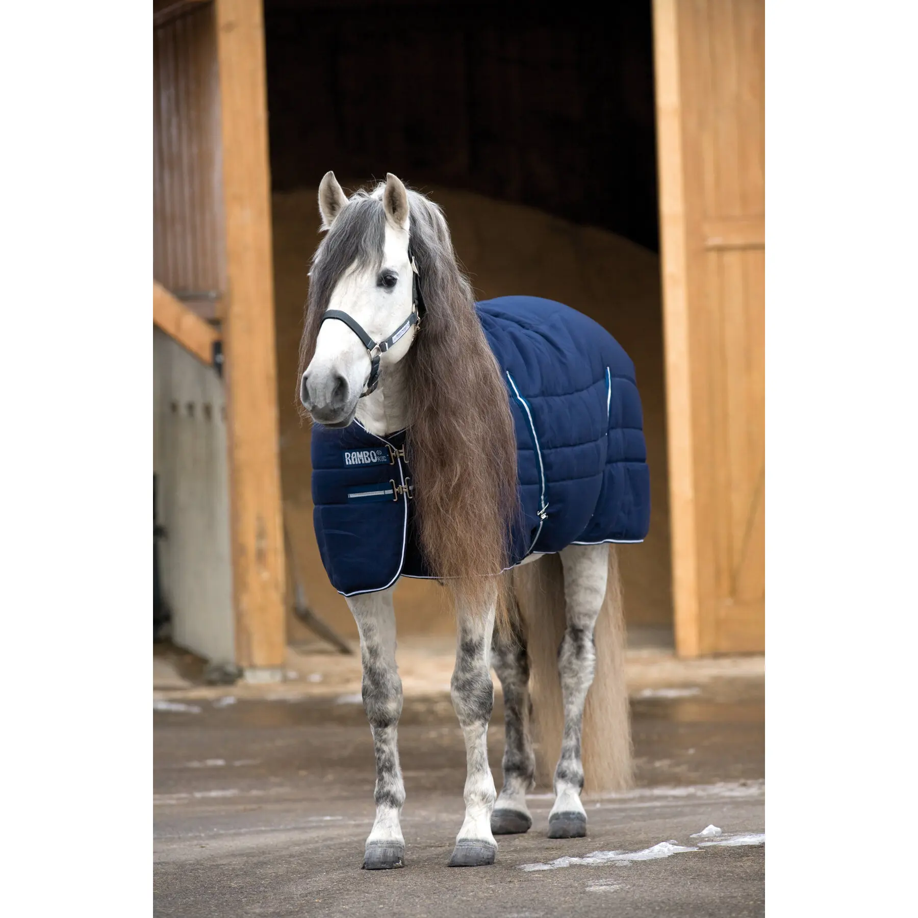 Couverture d'écurie pour cheval Horseware Rambo 200g