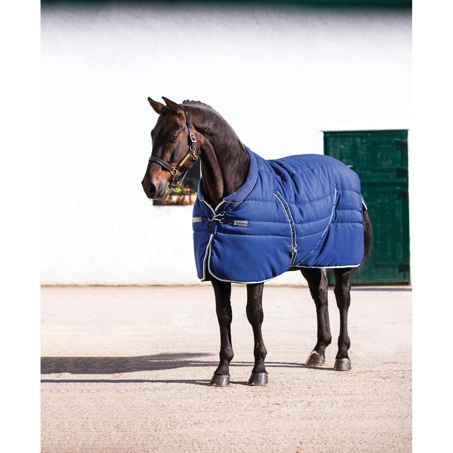 Comparer les prix de Couverture d'écurie pour cheval Horseware Rambo Cosy 400g