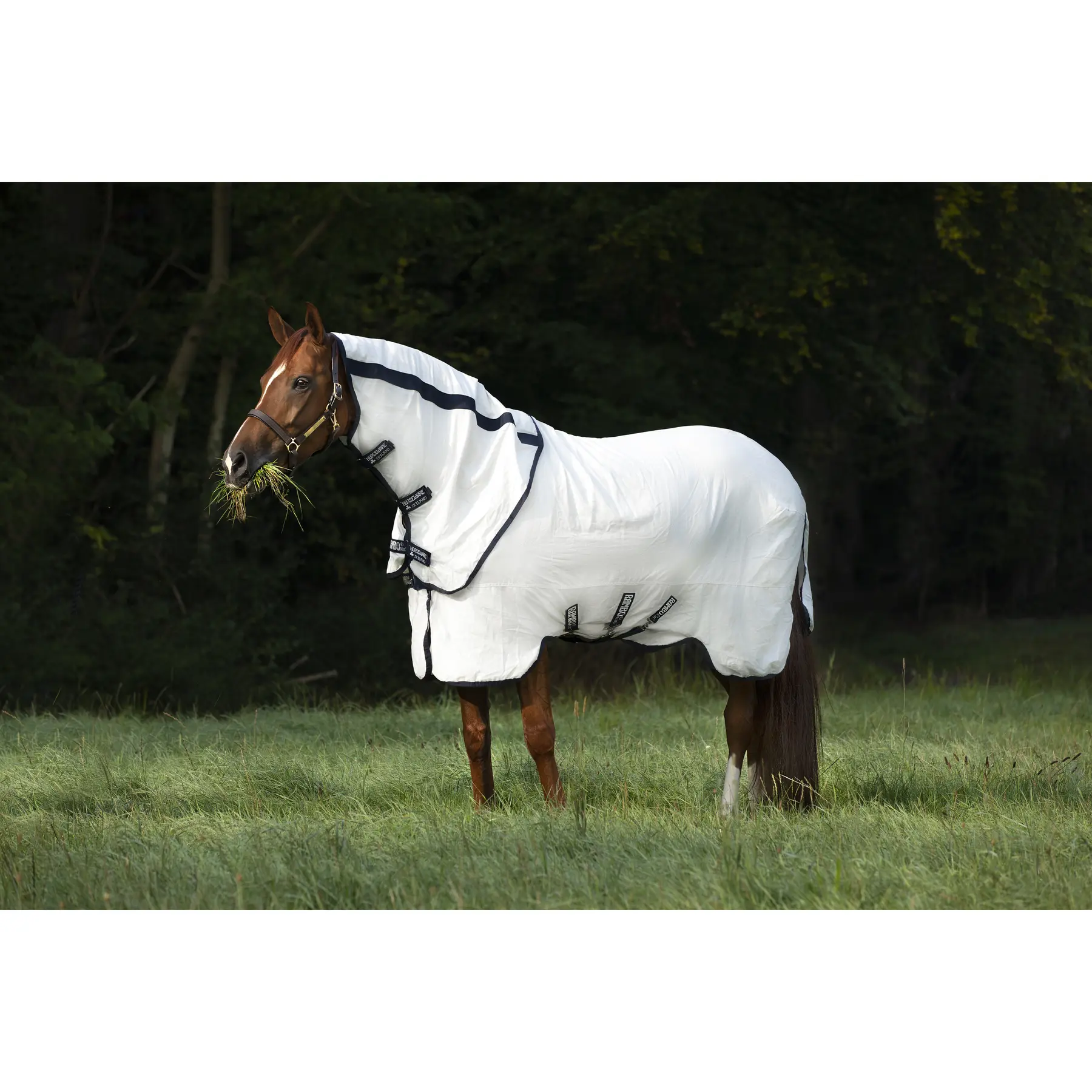 Meilleurs prix pour Couverture anti-mouches pour cheval Horseware Rambo Natura