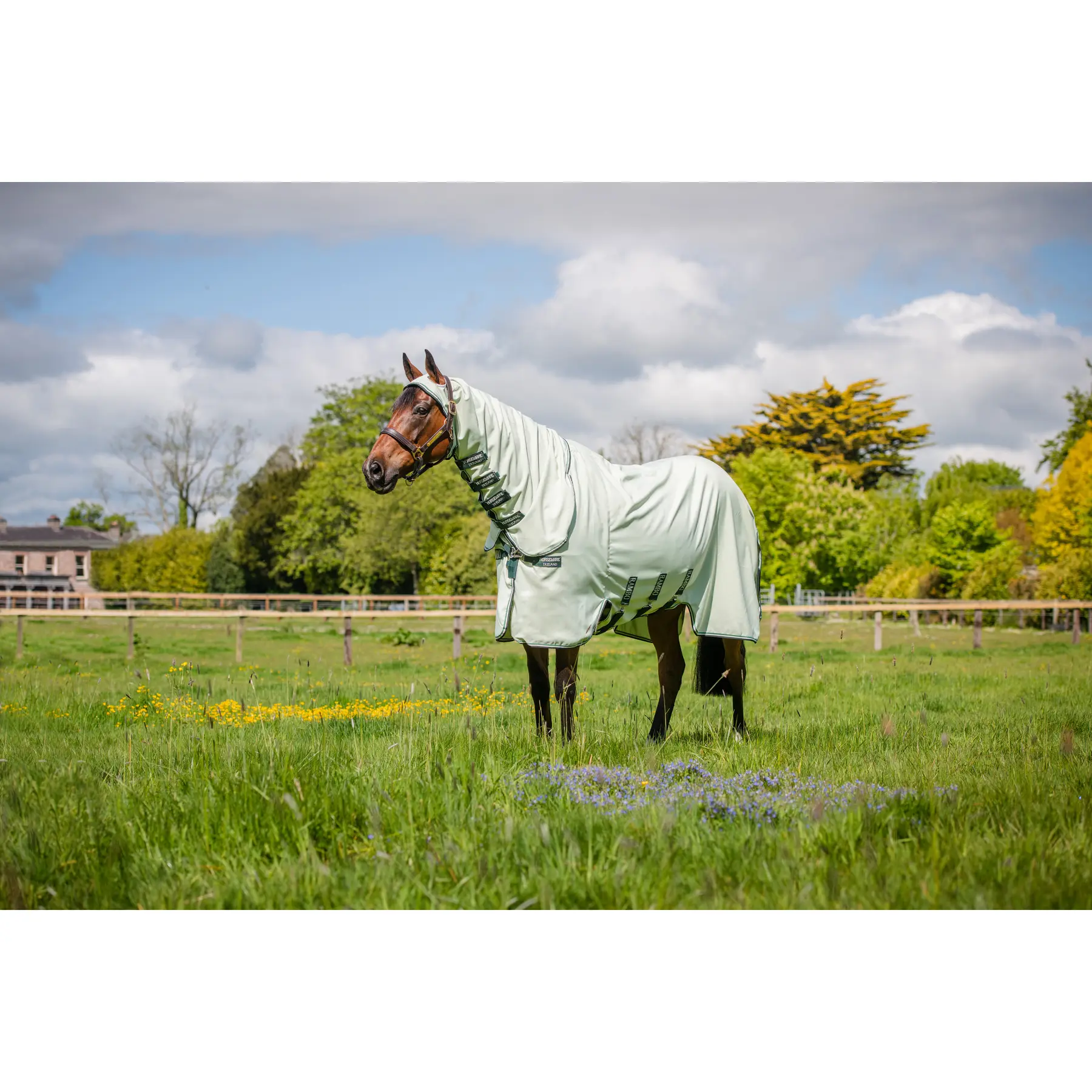 Comparer les prix de Couverture d'extérieur pour cheval Horseware Rambo