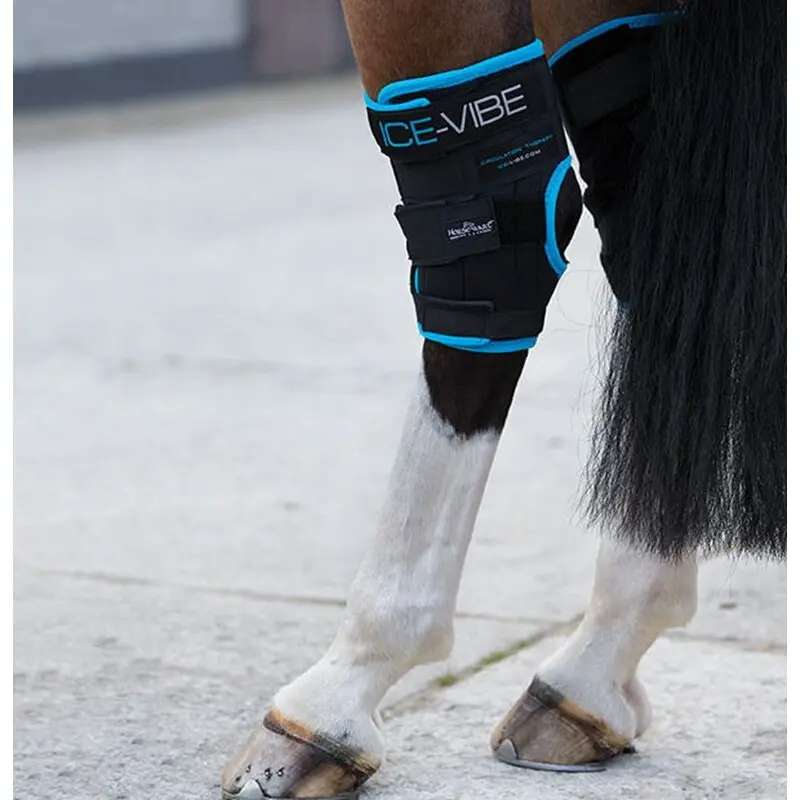 Comparer les prix de Paire de protège-jarret pour cheval Horseware Ice-Vibe by Hw