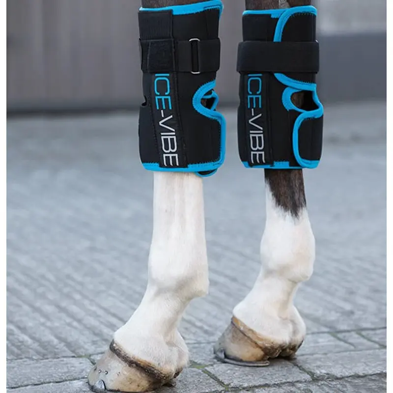 Meilleurs prix pour Paire de protège-jarret et genouillère pour cheval Horseware Ice-Vibe by Hw