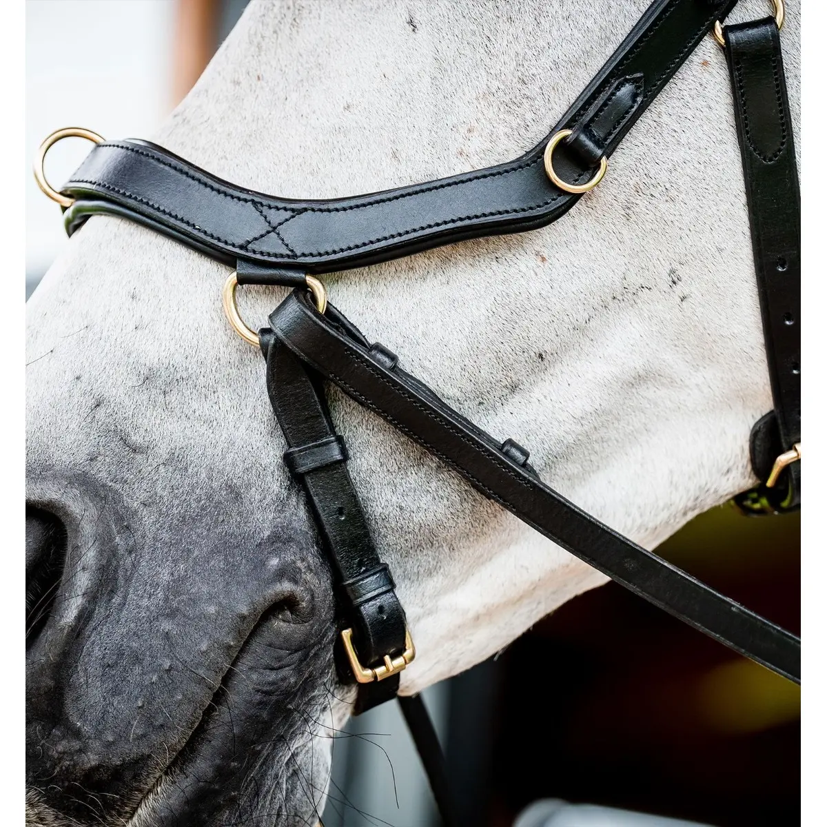 Trense Horseware Micklem Multi