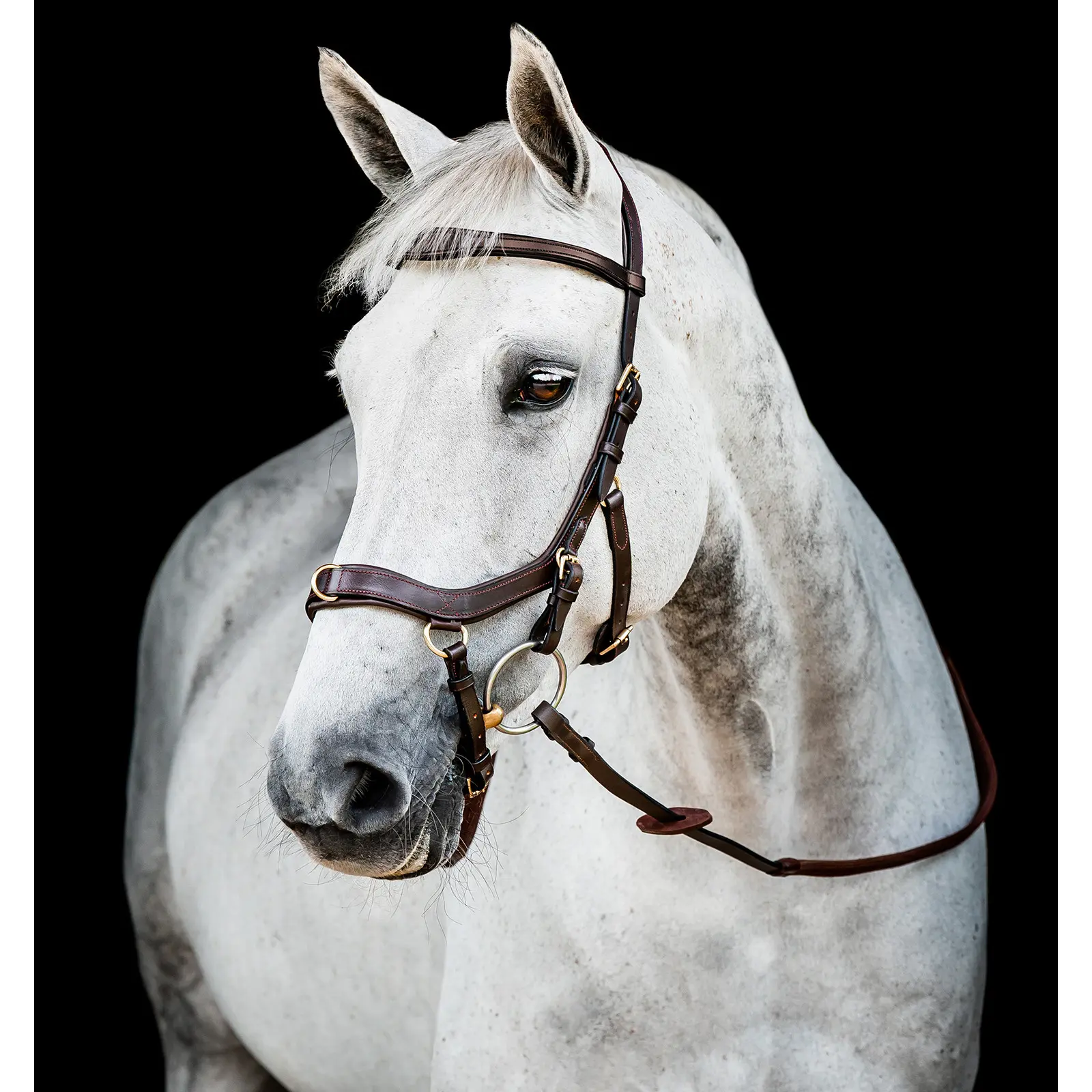 Briglia anatomica da equitazione Horseware Micklem Multi
