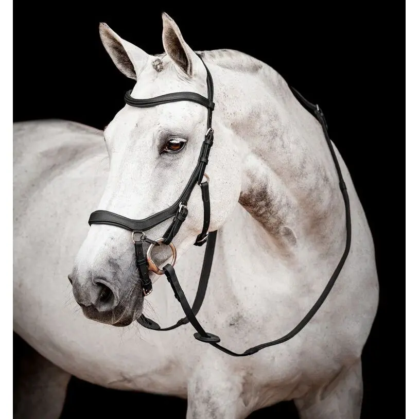 Bridon équitation anatomique Horseware Micklem 2