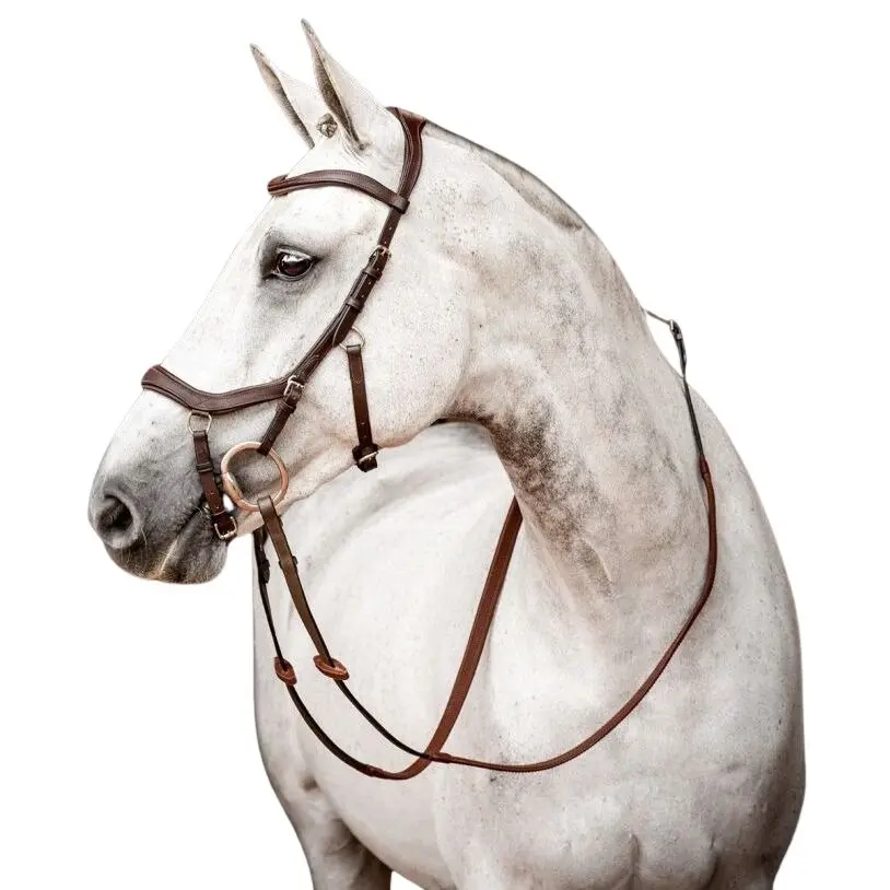 Bridons de concours Horseware Micklem 2