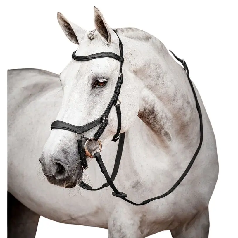 Bridons équitation avec rênes en caoutchouc Horseware Micklem 2