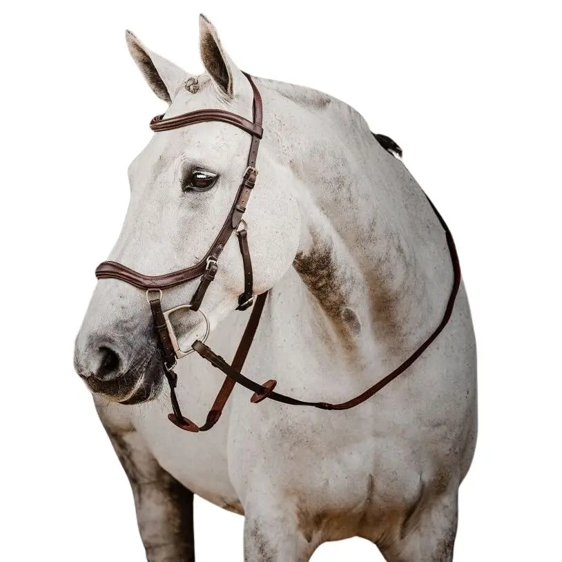 Comparer les prix de Bridons équitation Horseware Micklem 2 Deluxe