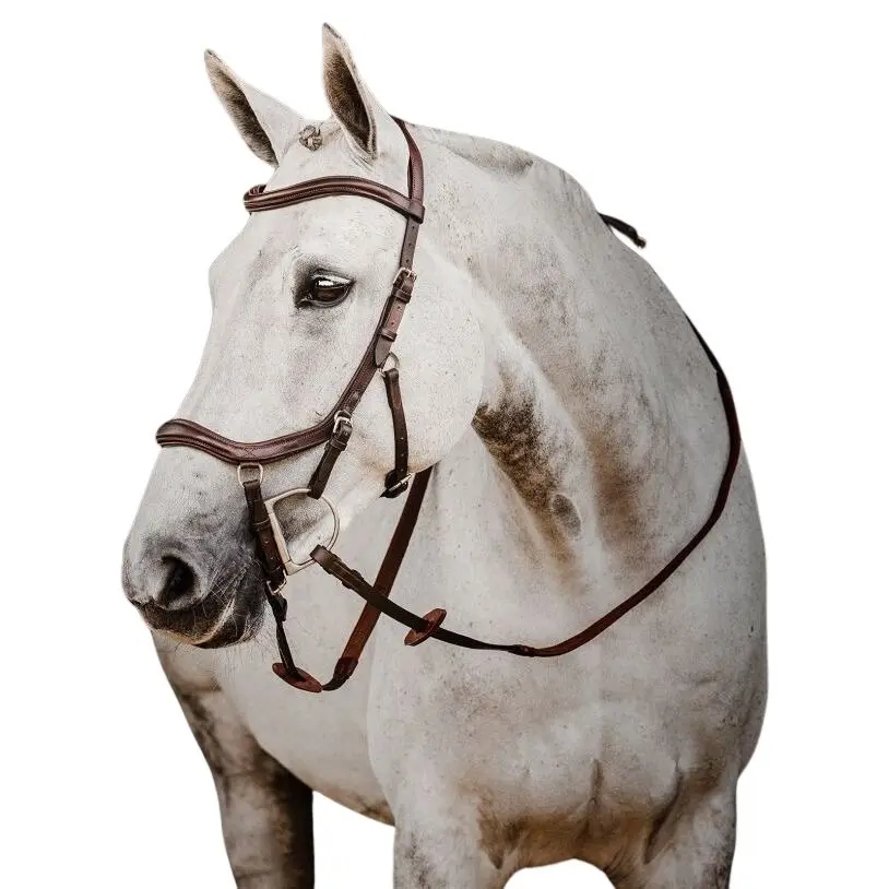Bridons équitation avec rênes en caoutchouc Horseware Micklem 2 Deluxe