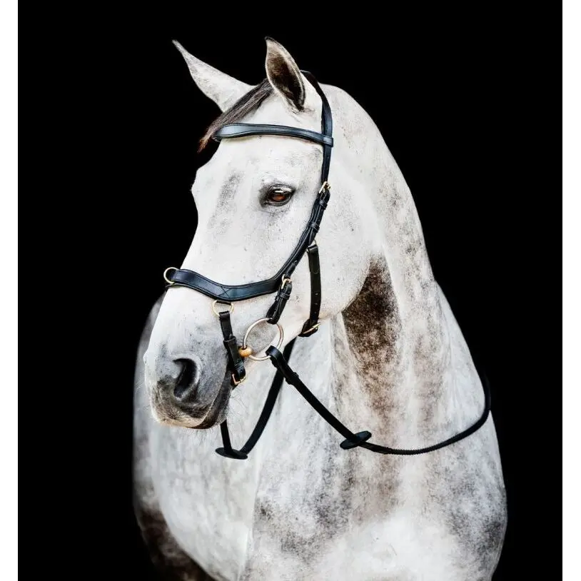 Bridon équitation anatomique Horseware Micklem 2 Multi