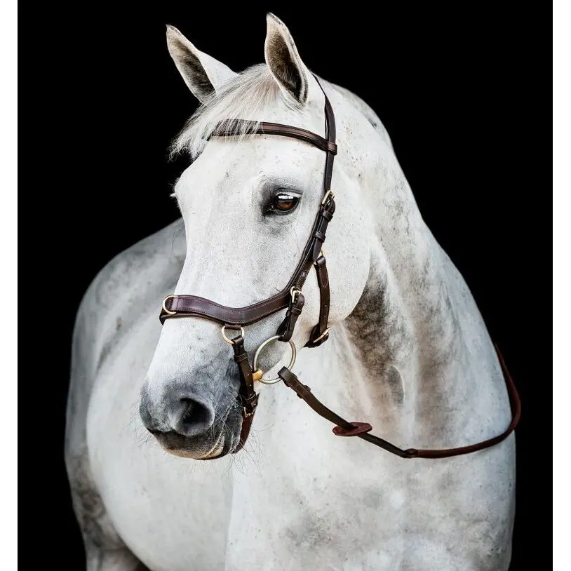 Meilleurs prix pour Bridon équitation anatomique Horseware Micklem 2 Multi