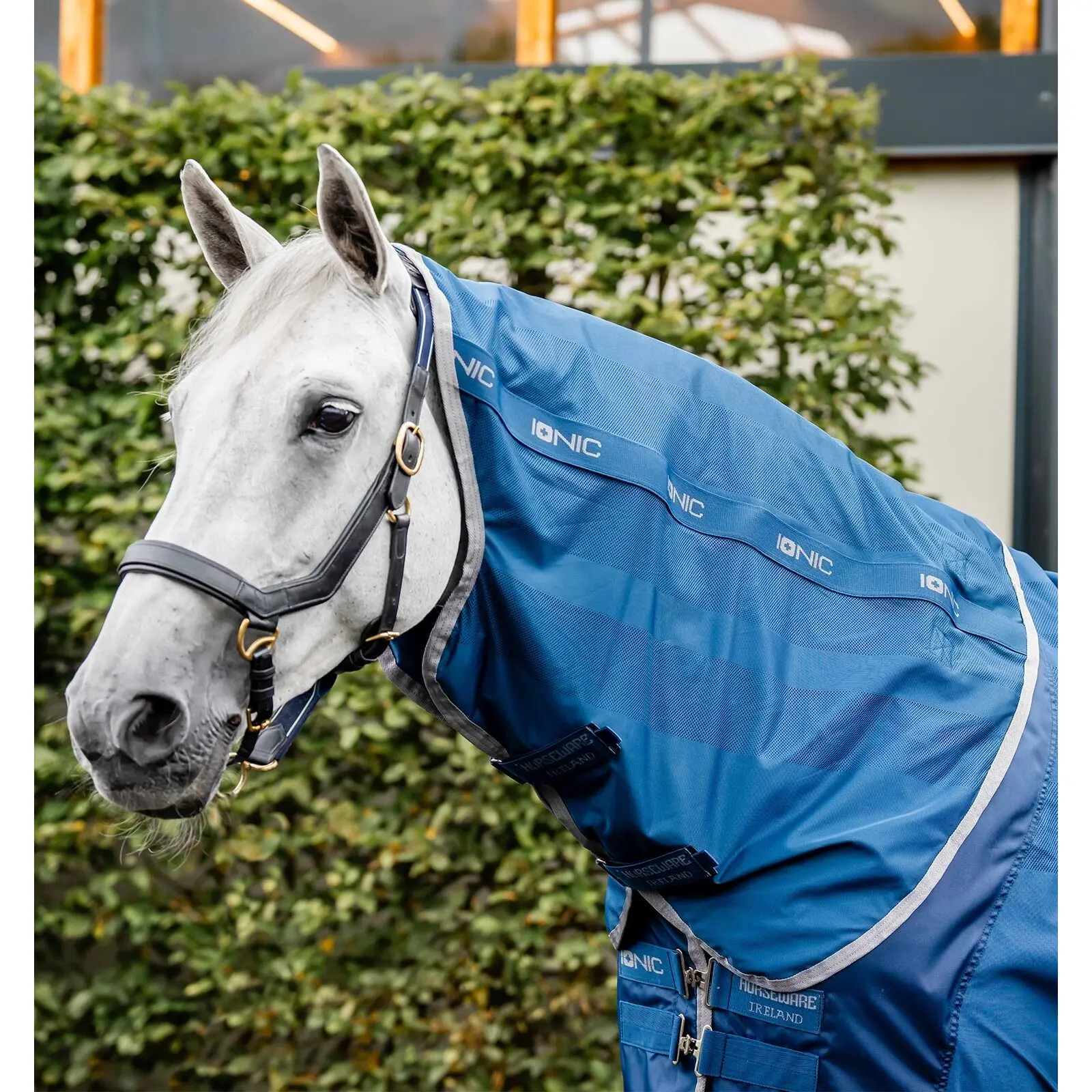 Chemise séchante pour cheval avec couvre-cou Horseware Ionic