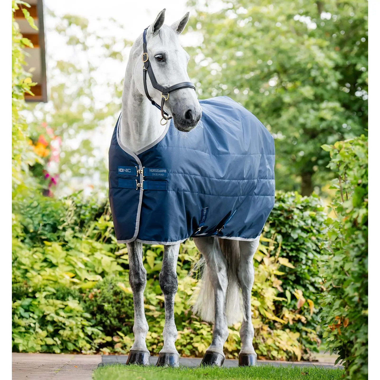 Comparer les prix de Couverture d'écurie pour cheval Horseware Ionic 50g