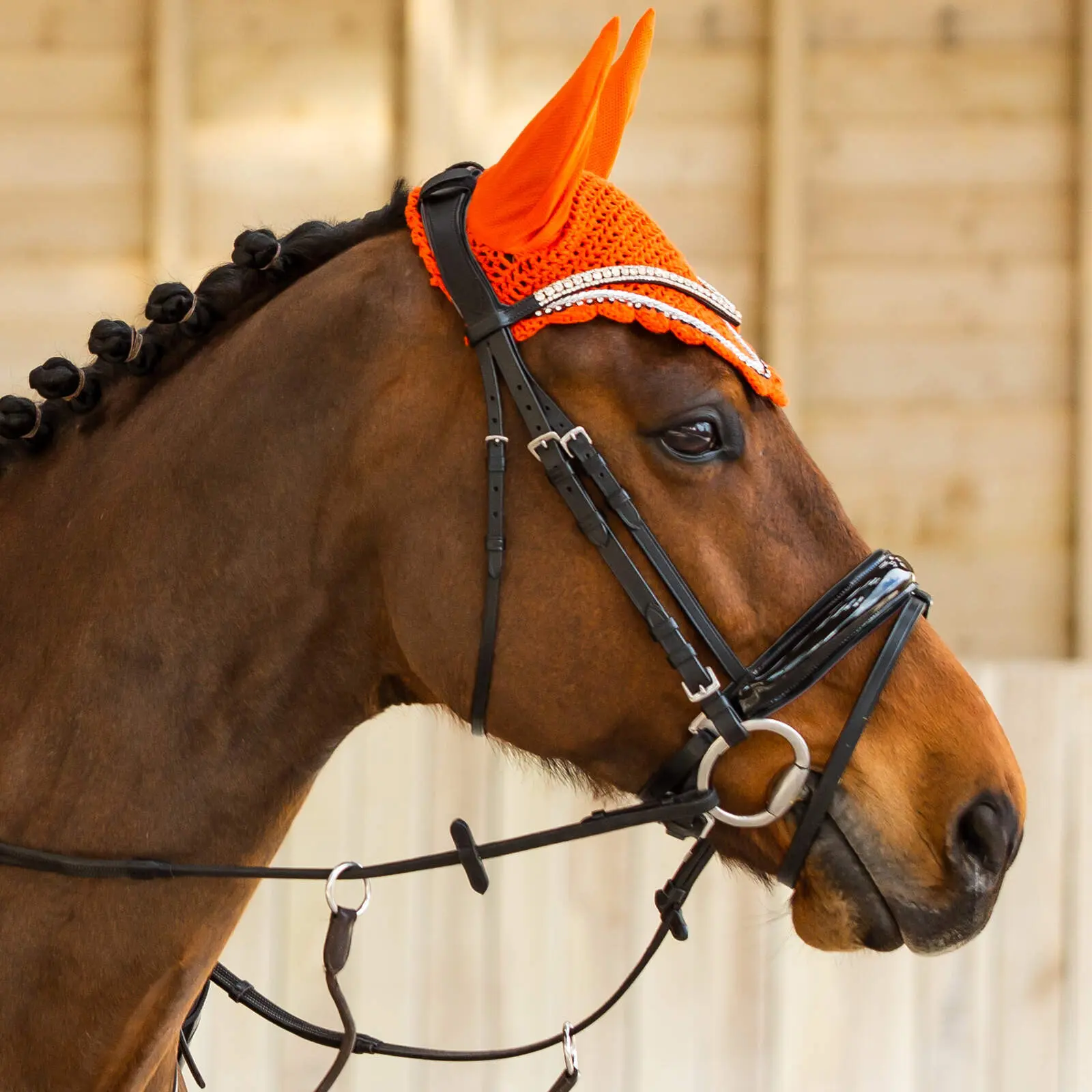 Horze Noir Anatomical Horse Bridles Grayson