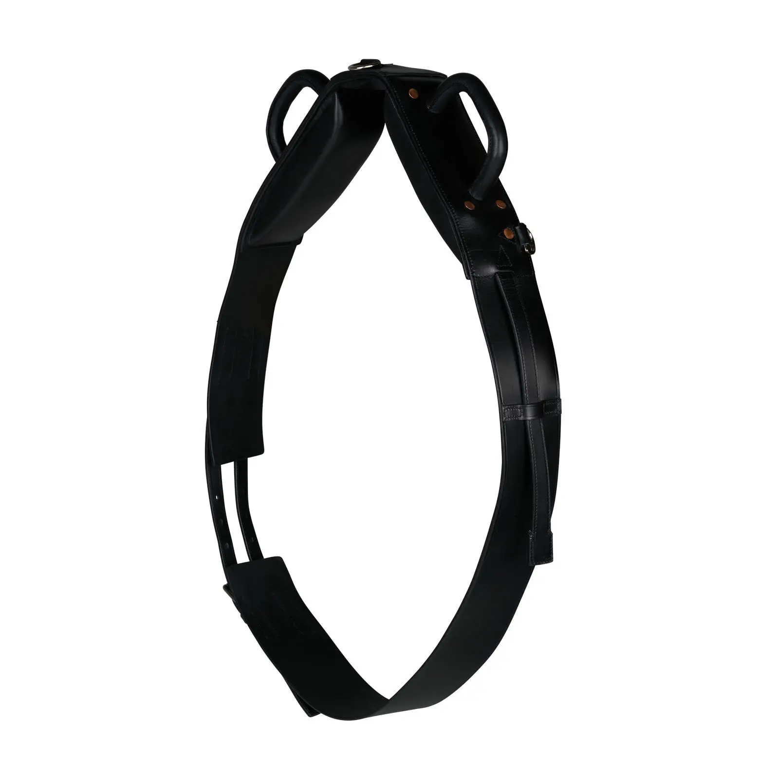 Comparer les prix de Longe pour longer cheval surfaix de voltige Horze