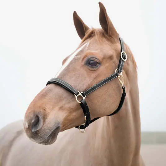 Meilleurs prix pour Cloches pour cheval Horze Largo