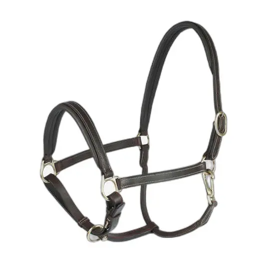 Meilleurs prix pour Licol pour cheval Horze Largo