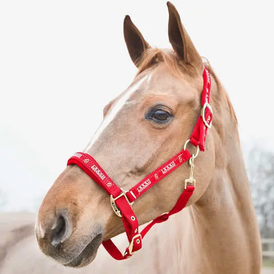 Horze Rouge Halter For Horse Hamptons