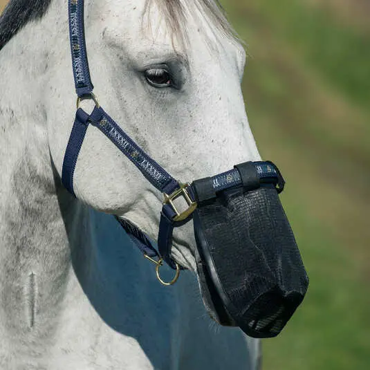 Comparer les prix de Masque protège-naseaux anti-mouches pour cheval Horze
