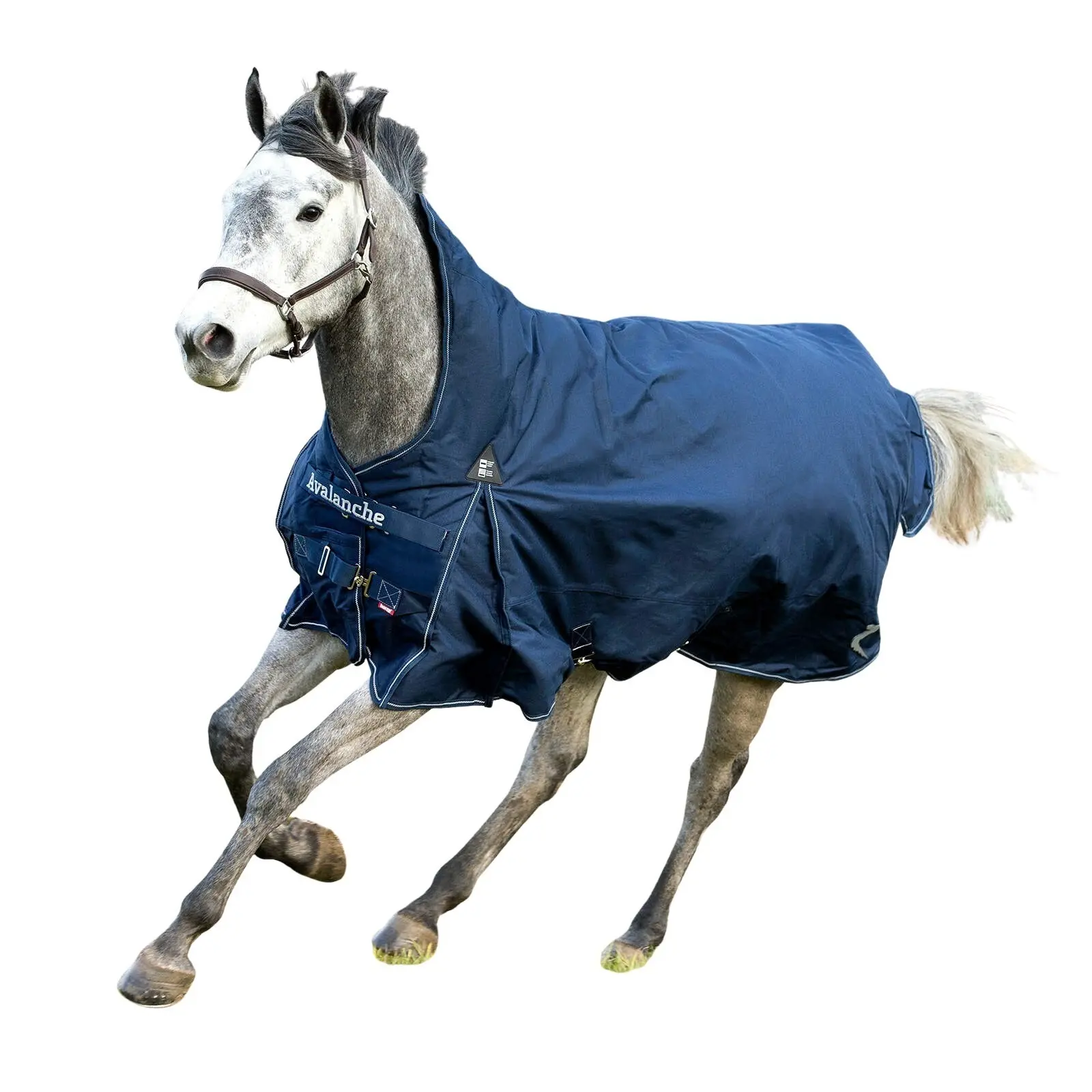 Comparer les prix de Couverture d'extérieur pour cheval Horze Avalanche 250 g