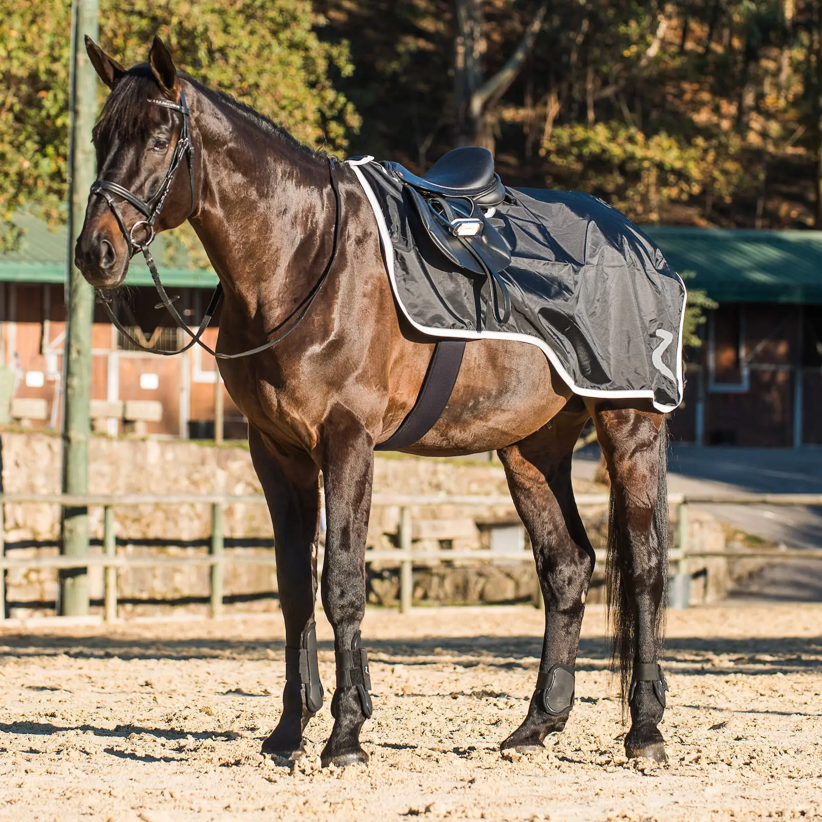 Meilleurs prix pour Couvre-reins pour cheval doublé polaire Horze Protrek