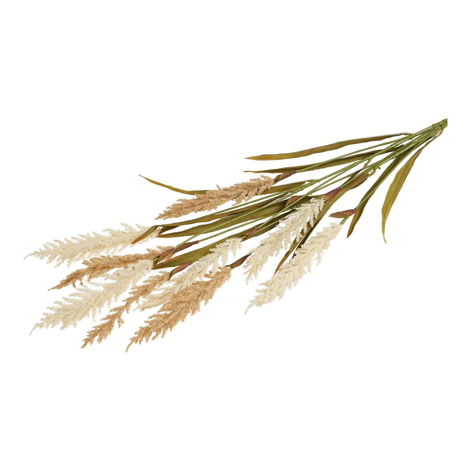 5713917036806 - Zimmerpflanze House Nordic