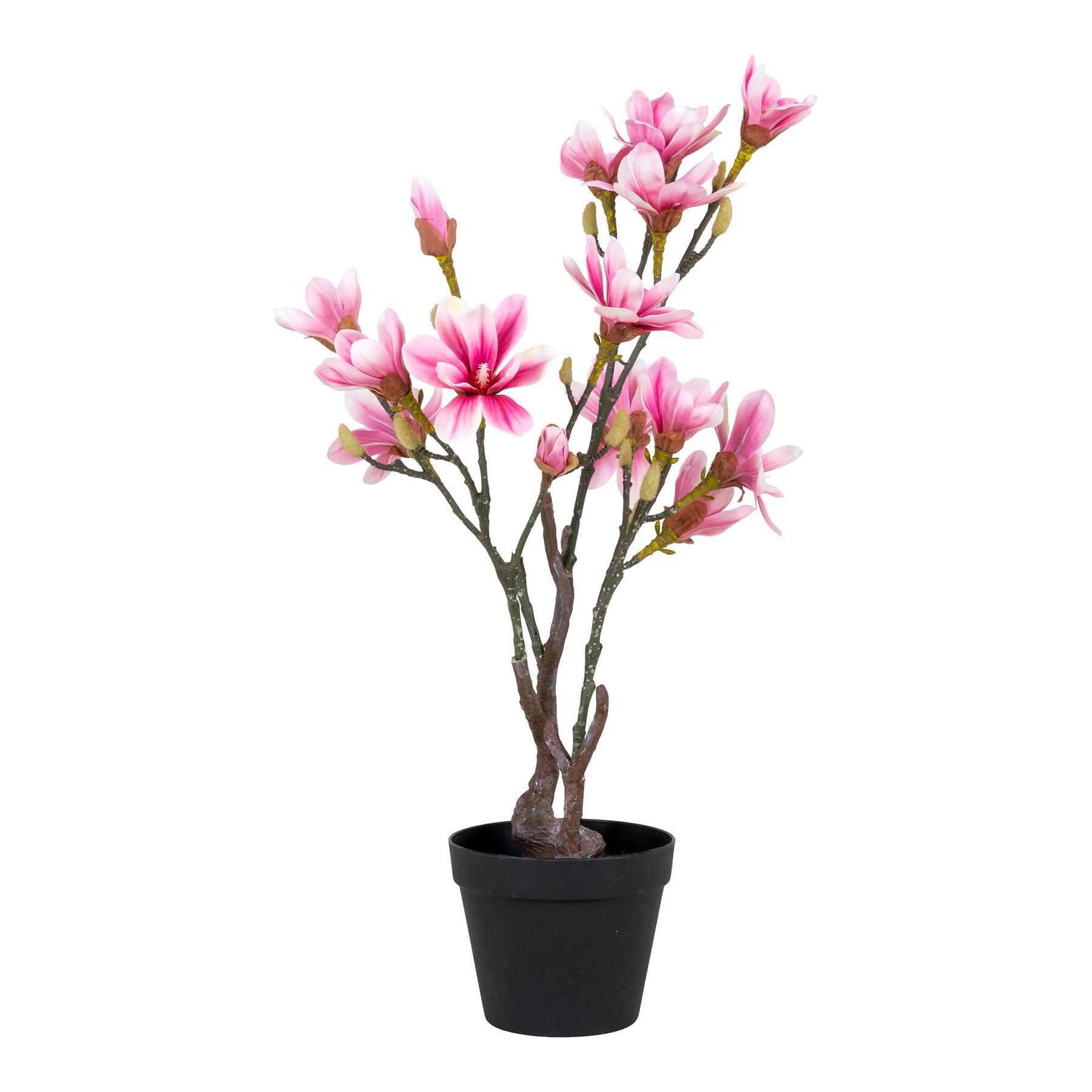 5713917022601 - Künstliche Pflanze Magnolia