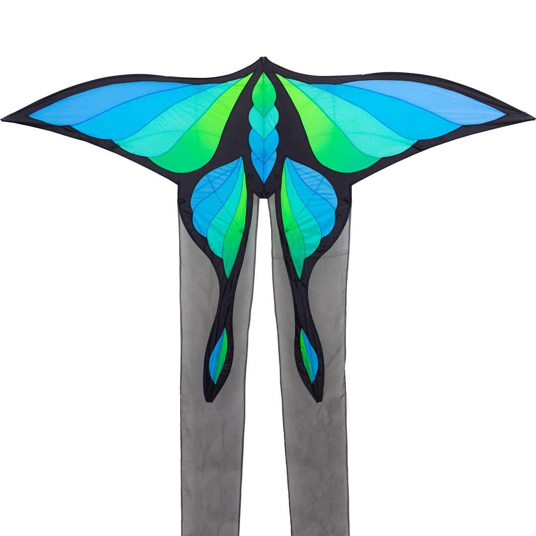 4031169352507 - Drachen Brasington - Papillon