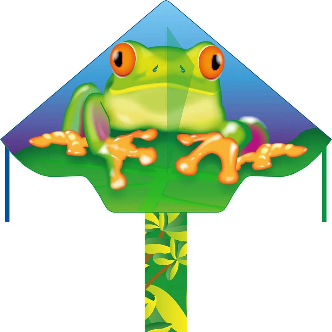 4031169311009 - Ecoline 102160 - Simple Flyer Froggy - Kinderdrachen ab 5 Jahren 75x120cm inkl 17kp Polyester Schnüre 25m