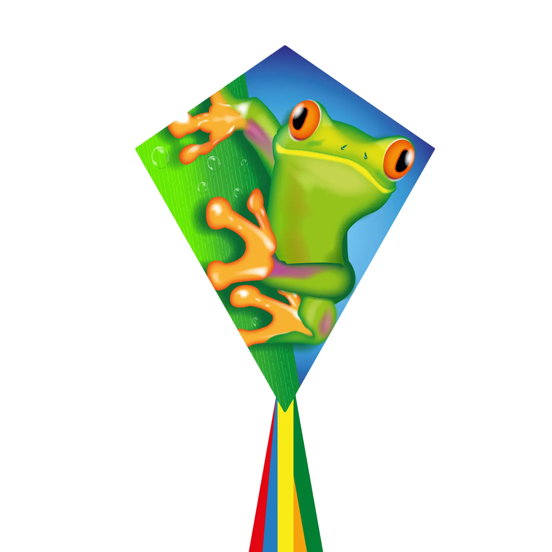 4031169311108 - Ecoline 102121 - Eddy Froggy - Kinderdrachen ab 5 Jahren 70x58cm inkl 17kp Polyester Schnüre 40m