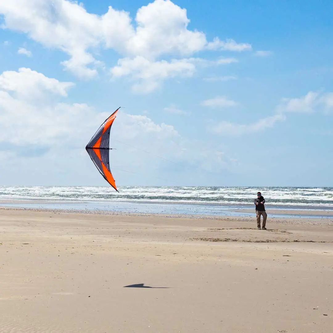 4031169350206 - Drachen Arrow S