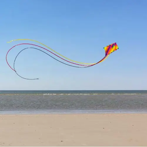 4031169336804 - Drachen Dancer II