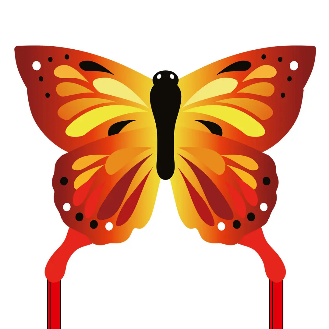 4031169301604 - 102220 - Ecoline Butterfly Kite Sunrise - Kinderdrache ab 5 Jahren 95x120cm  inkl 17kp Polyester Schnüre