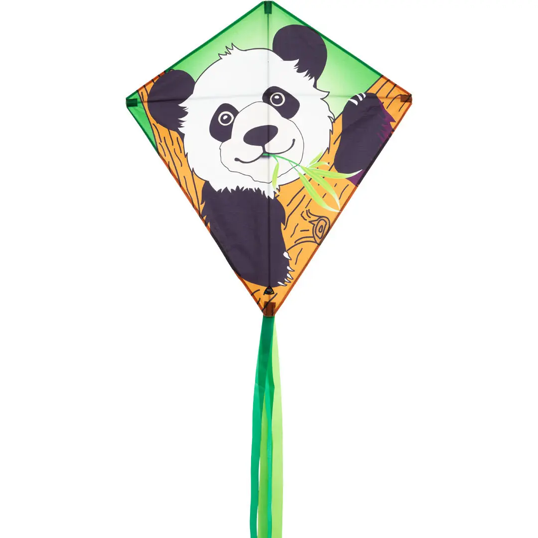 4031169283207 - 100060 - Eddy Panda - Kinderdrache ab 5 Jahren 68x68cm inkl 17kp Polyester Schnüre 40m auf Spule