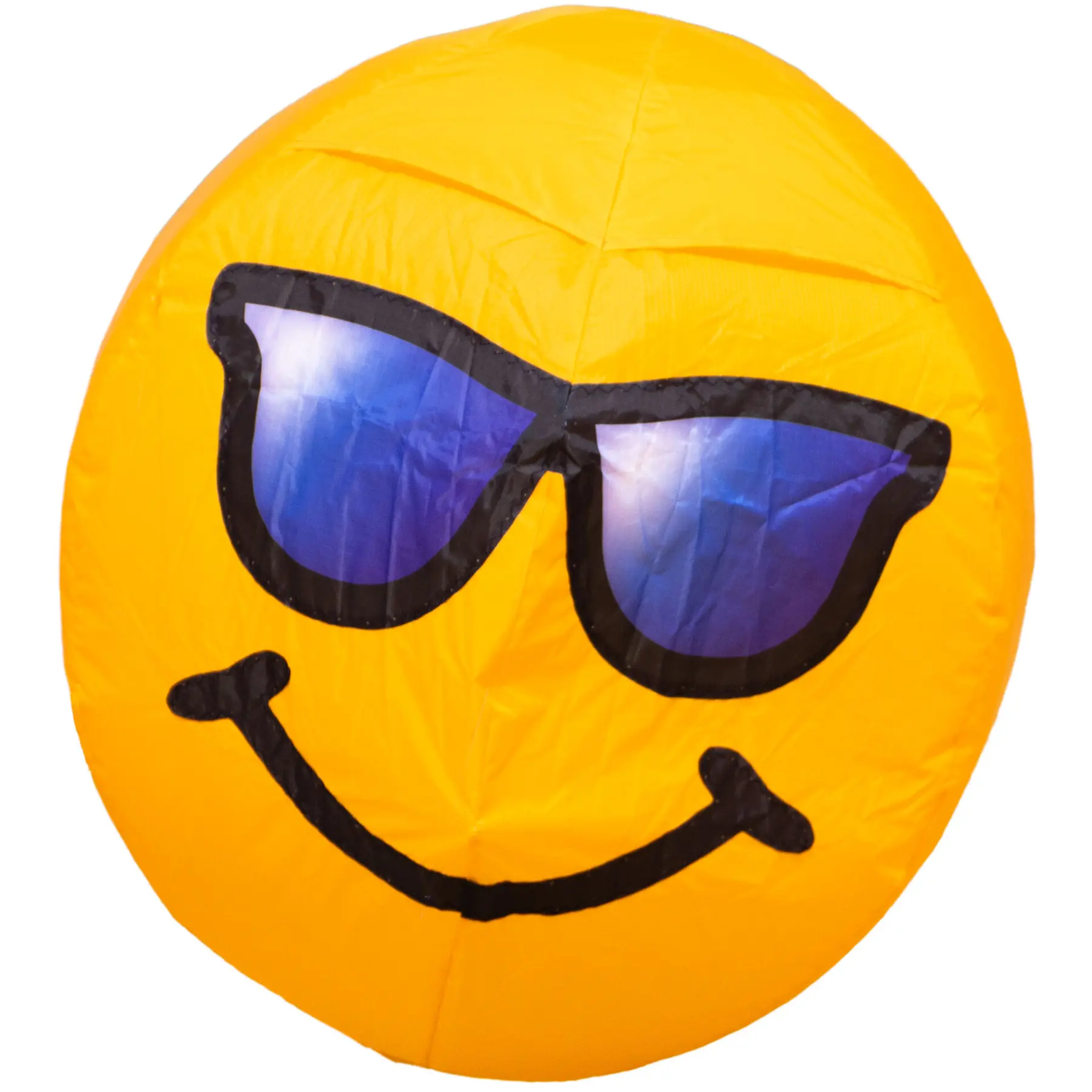 4031169331809 - coole Wetterfahne Buddy