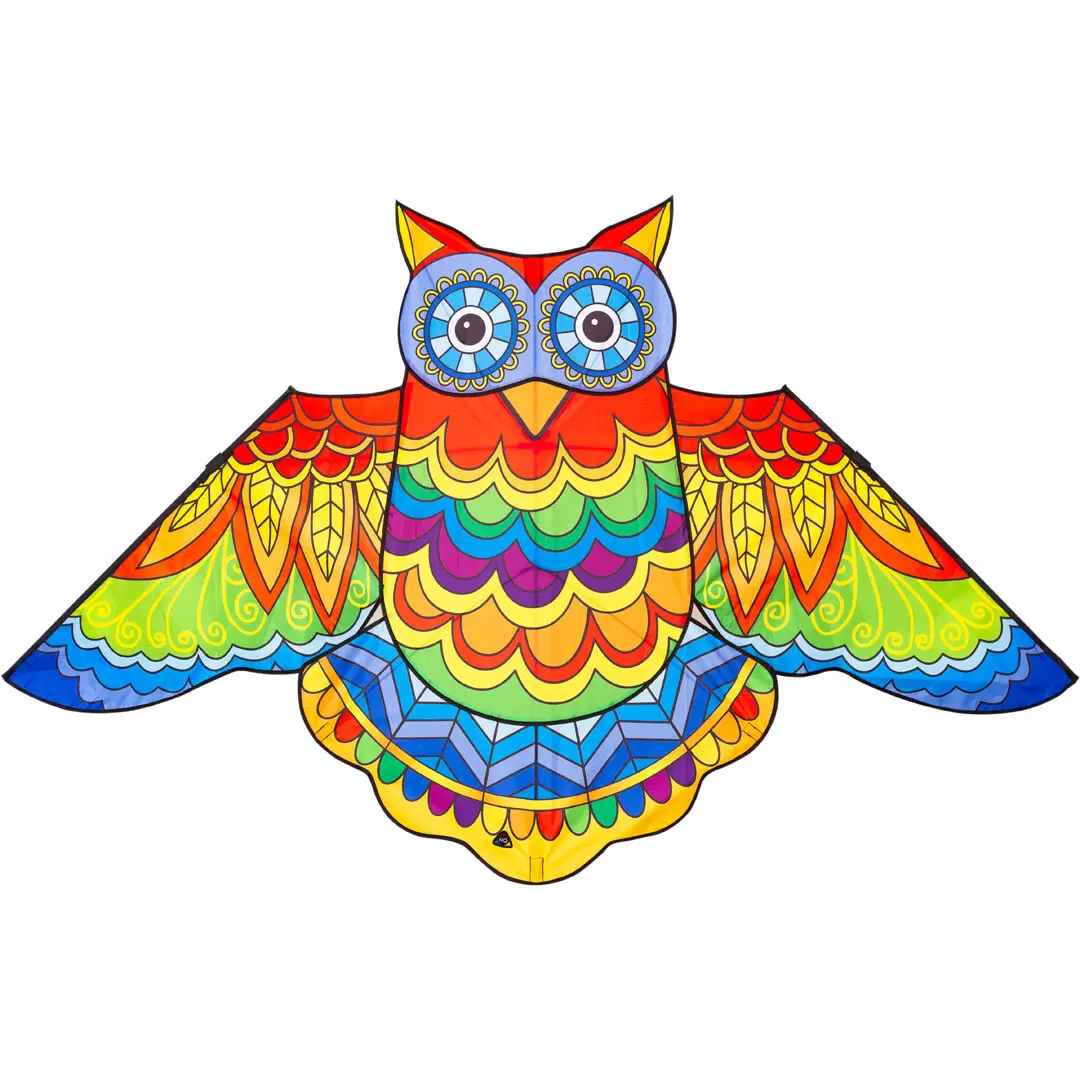4031169299703 - 105103 - Jazzy Owl Kite - Kinderdrache ab 5 Jahren 85x145cm inkl 17kp Polyester Schnüre 40m auf Spule