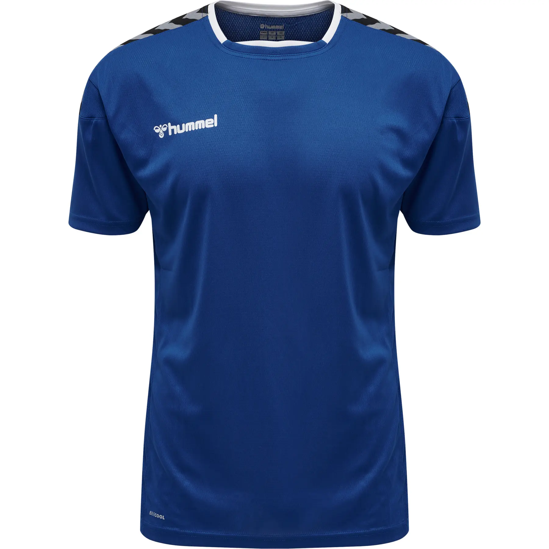 Trikot Hummel hmlAUTHENTIC Poly HML