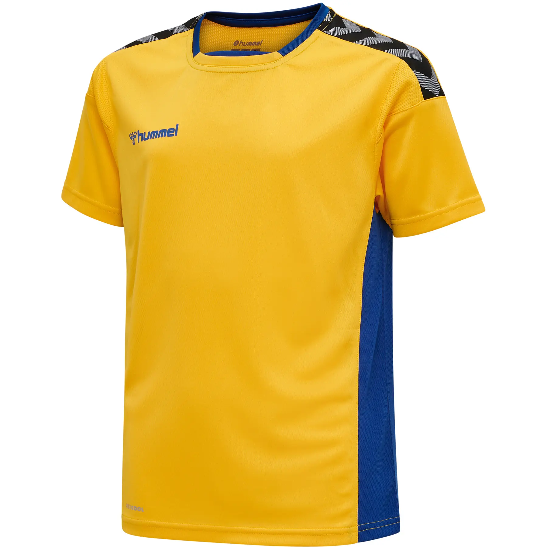 Trikot Hummel enfant hmlAUTHENTIC Poly HML