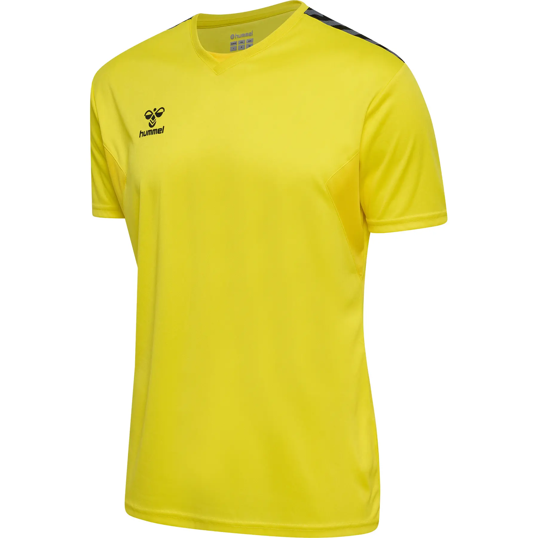 Trikot Hummel Authentic Pl