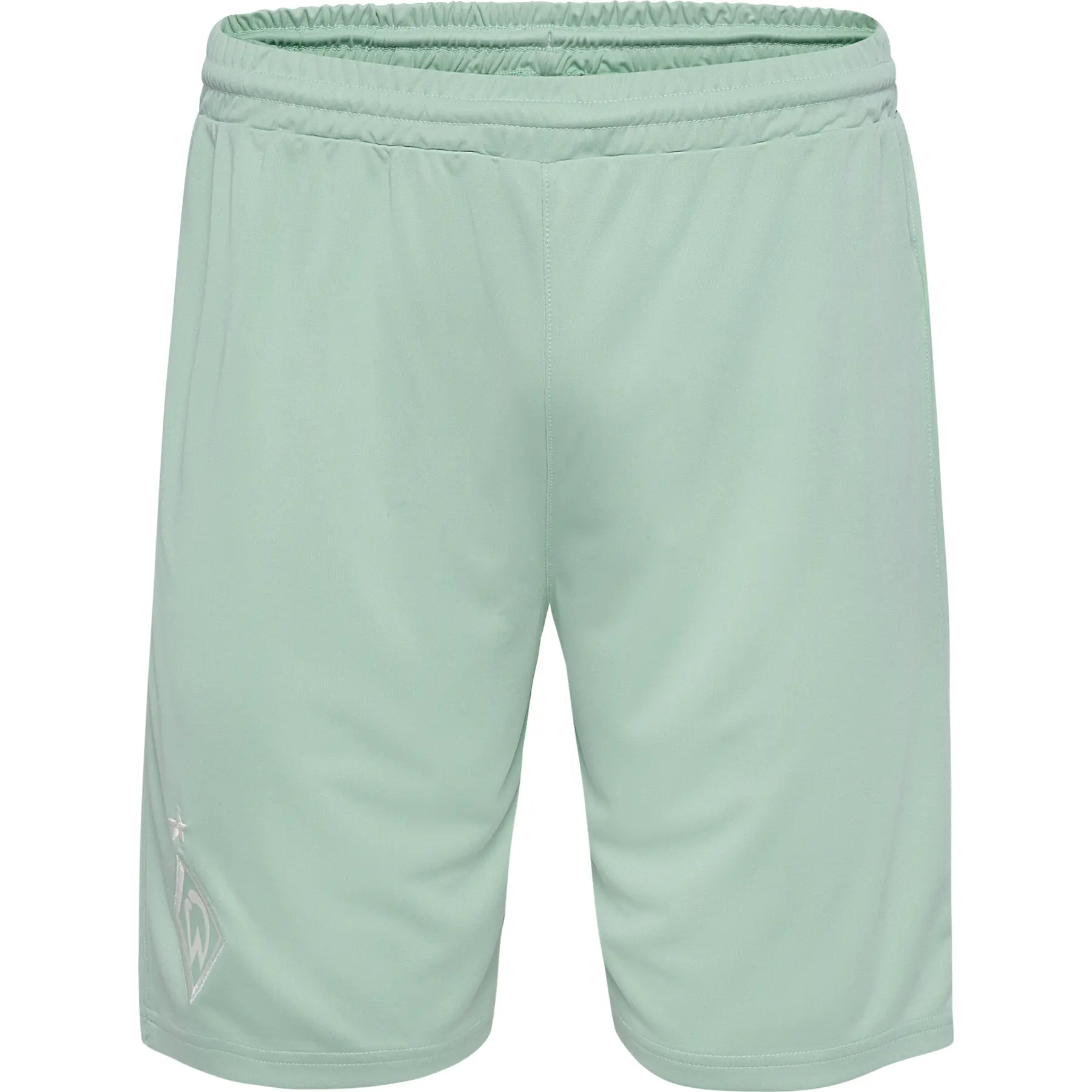 SV Werder Bremen 2024/25