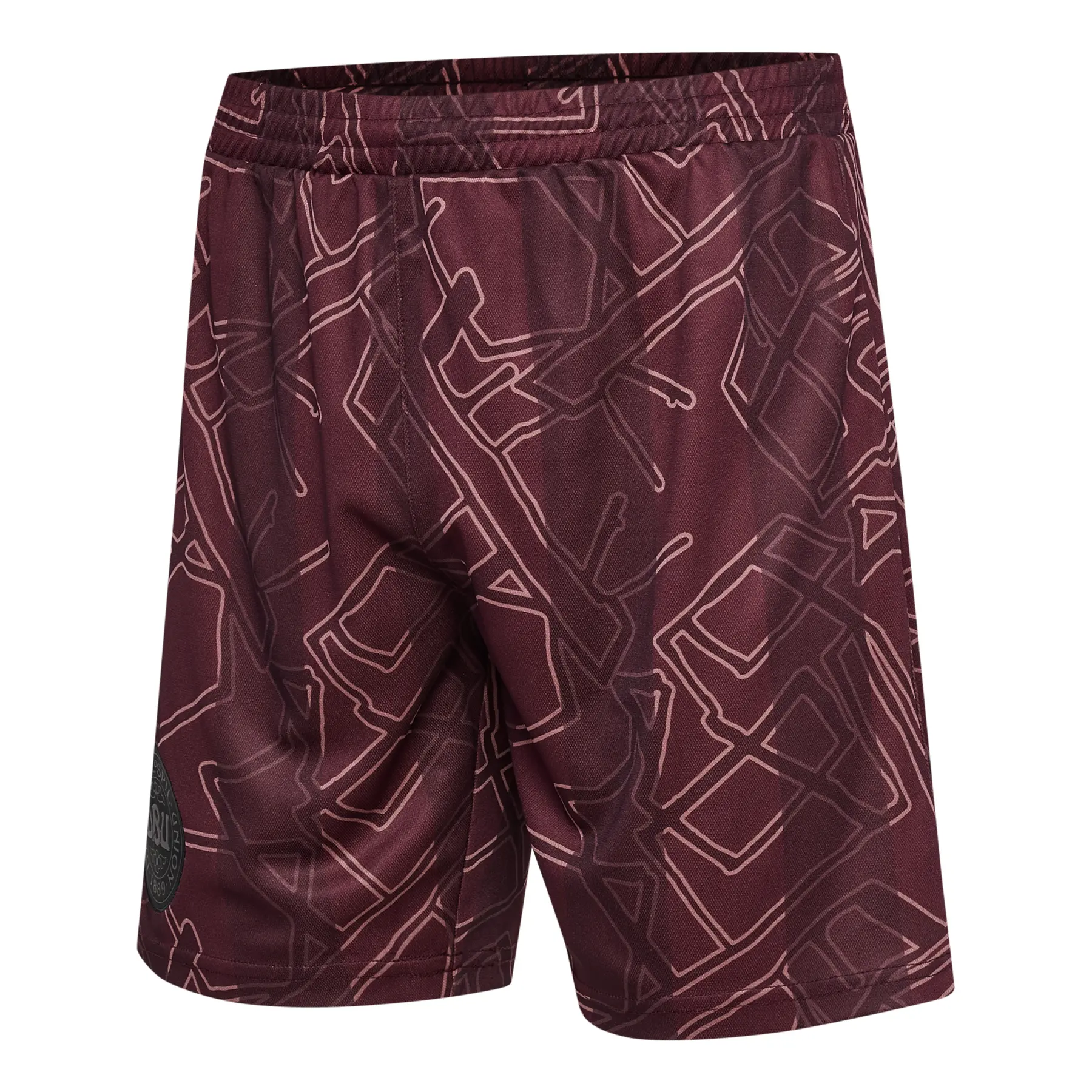 Dänemark Shorts X 2024/25