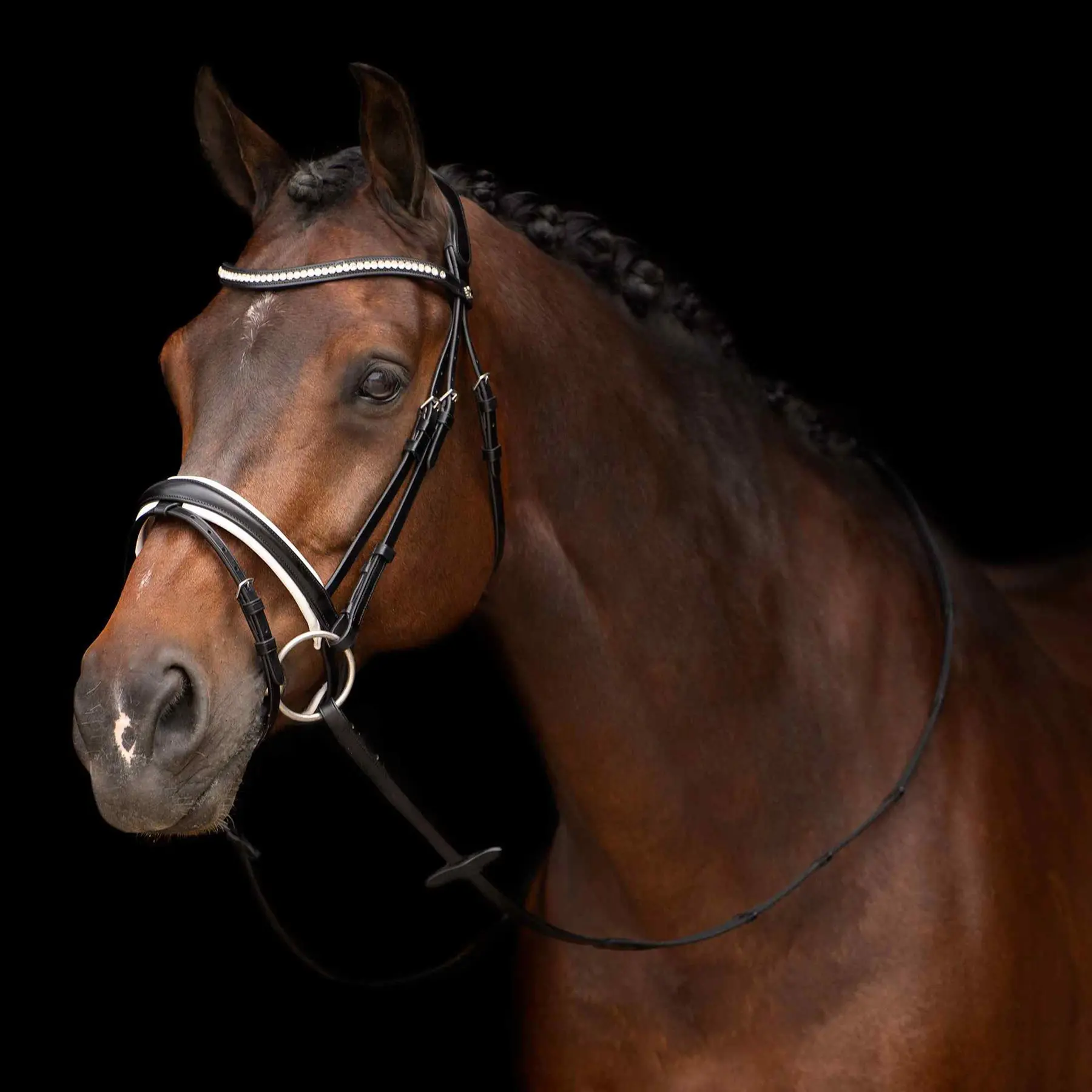 Hv Polo Noir Bridles Legacy Deluxe
