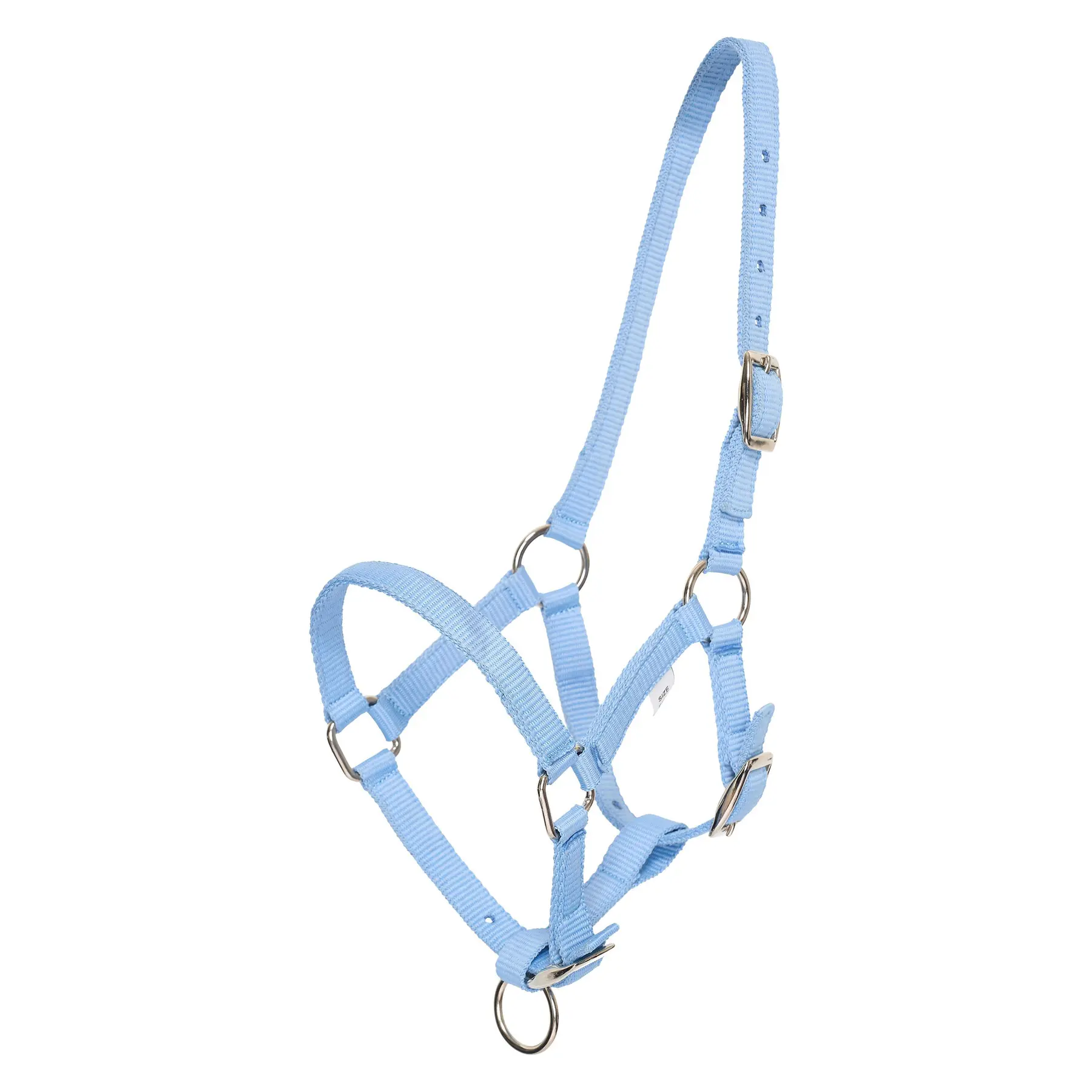 Hv Polo Bleu Halter For Horse Nena